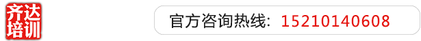 免费看男人艹沈娜娜逼齐达艺考文化课-艺术生文化课,艺术类文化课,艺考生文化课logo